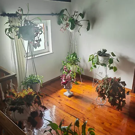 Апартаменты Nandes Place Прайя-да-Витория