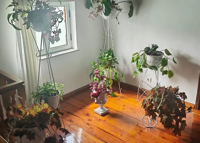 Апартаменты Nandes Place Прайя-да-Витория